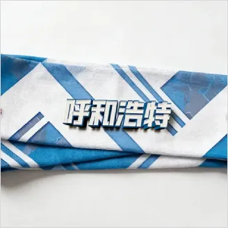module_item_image